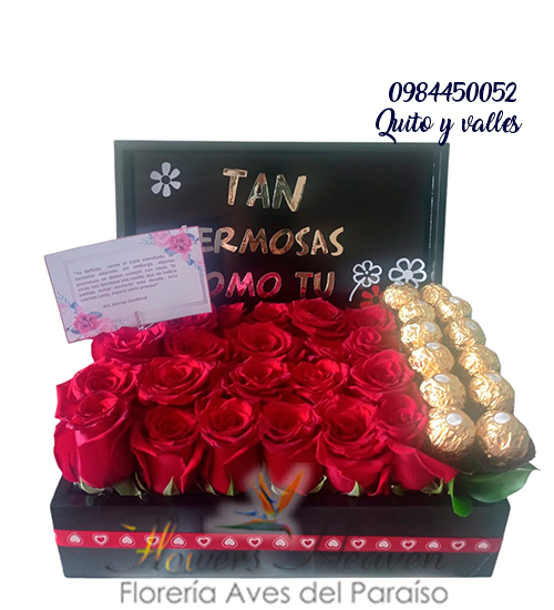 AM16-Tan-hermosas-como-tu.jpg