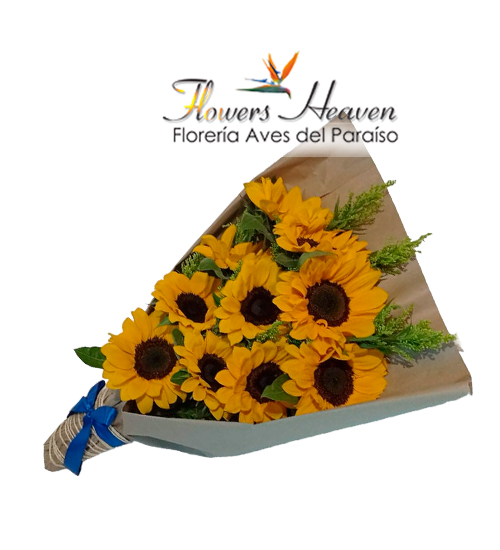Encanto-de-girasoles(3).jpg