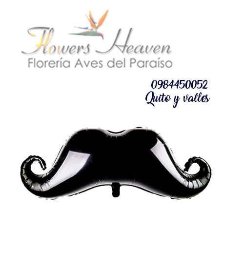 GLB11-Bigote.jpg