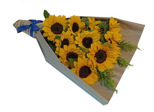 girasoles-para-ti(3).jpg